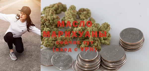 молекула духа Осташков