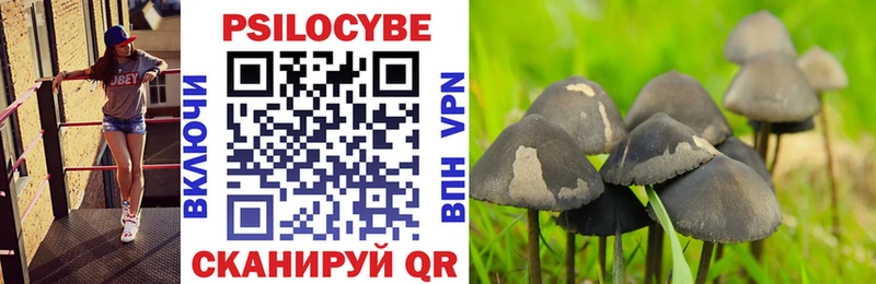 Псилоцибиновые грибы Cubensis  Дальнереченск 